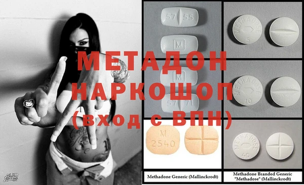 гашик Алексин