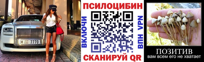 Галлюциногенные грибы Psilocybine cubensis  Абакан 